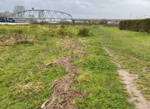 Opruimactie Nijmegen Vervuilde hoogwaterlijn 